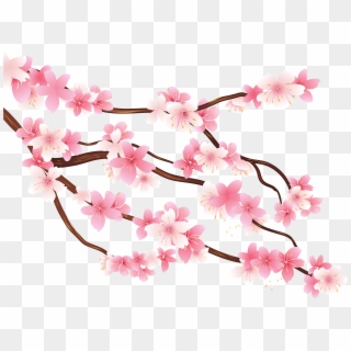 Transparent Cherry Blossom Clip Art - Cherry Blossom Clipart Png, Png Download