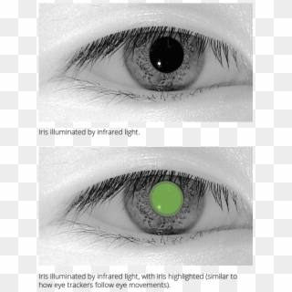 Infrared Eye Trackers - Infrared Iris Scan, HD Png Download