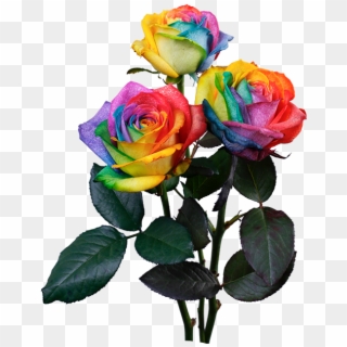 Rainbow Rose - Rainbow Rose Png, Transparent Png