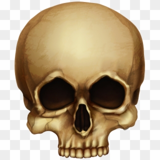 Skull Skeleton Clip Art - Skulls Pics Transparent, HD Png Download