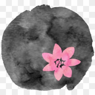 Jennifer Stucki, Oboist - Cherry Blossom, HD Png Download
