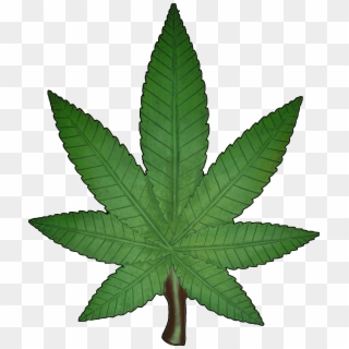 Marijuana Leaf Png - Blunts Transparent Background, Png Download