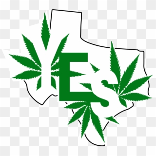 Texas Marijuana - Illinois Legalized Recreational Weed, HD Png Download