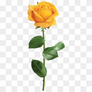 Yellow Rose Png, Transparent Png