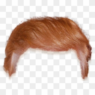 Transparent Trump Clipart - Red Hair Boy Png, Png Download