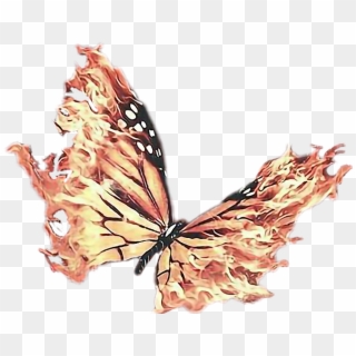 Butterfly Sticker - Transparent Fire Butterfly Png, Png Download