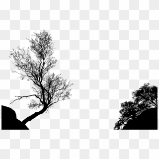 Big Image - Trees In Silhouette, HD Png Download