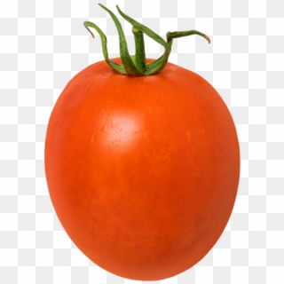 Tomato - Plum Tomato, HD Png Download