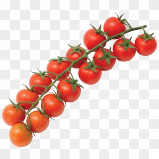 Hybleo - Plum Tomato, HD Png Download
