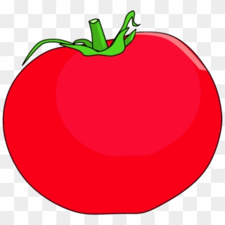 1182 X 676 3 - Tomatoes Drawing Png, Transparent Png