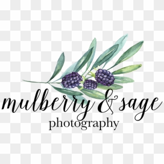 Mulberrysage Final Kimberly Paige Designs - Baking, HD Png Download