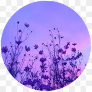 Aesthetic Circle Icon Flower Blue Blueaesthetic Aesthetic Icons Blue Hd Png Download 750x750 2612028 Pngfind - aesthetic roblox icons pink