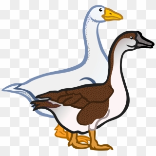 Clipart - Geese Clipart, HD Png Download