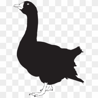 Open - Goose Silhouette Png, Transparent Png