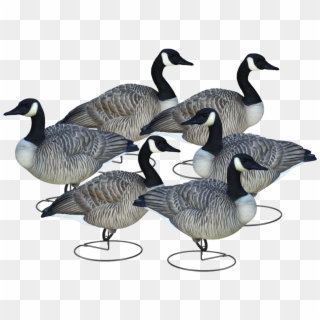 Final Approach Livecraft Full Body Relaxed Walkers - Canada Goose, HD Png Download
