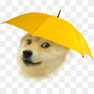 Rain Doge , Png Download - Doge High Quality, Transparent Png