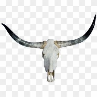 Texas Longhorns Football Soap Dishes & Holders Bathroom - Long Horns Png, Transparent Png