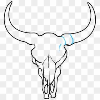 How To Draw Bull Skull - Bull Skull Drawing, HD Png Download