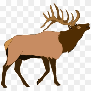 Elk Deer Illustration Vector Graphics Moose - Elk Clipart Png, Transparent Png