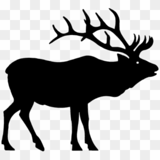 Elk Deer Moose Clip Art - Elk Clip Art Free, HD Png Download