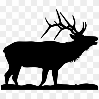 Elk Moose Silhouette Clip Art - Silhouette Of An Elk, HD Png Download