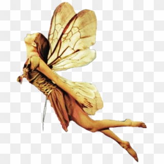 #hada #fairy #alas #fantasyart #wings #volar #flying - Fairy, HD Png Download