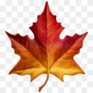Maple Leaf Emoji , Png Download - Apple Maple Leaf Emoji, Transparent Png