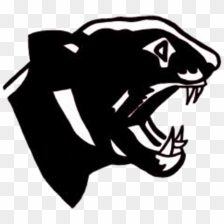 Carolina Panthers South Iron High School Philadelphia - Upper St Clair Panther, HD Png Download
