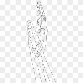 Sketch, HD Png Download