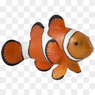 Clown Fish Png Free Background - Clown Fish Toys, Transparent Png