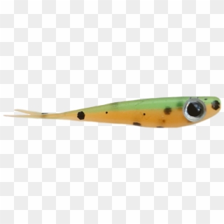Whitebait, HD Png Download