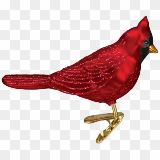 Transparent Cardinal Bird Png - Northern Cardinal, Png Download