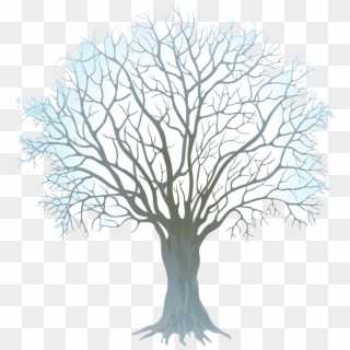 Winter Tree Clip Art Free Transparent Png - Transparent Background Winter Clipart, Png Download