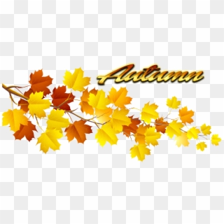 Fun Autumn Leaves Clip Art - Autumn Leaves Png Transparent, Png Download