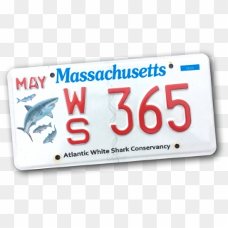 Ws Plate - Mass White Shark Plates, HD Png Download