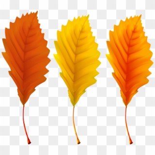 Transparent Falling Leaves Clipart Png, Png Download