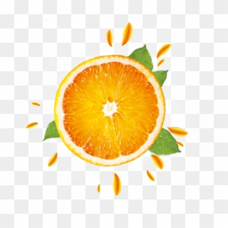 Transparent Orange Png - Clementine, Png Download