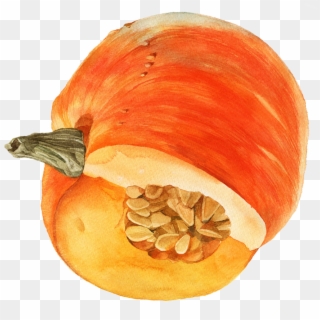 Transparent Watercolor Pumpkin Png - Pumpkin, Png Download