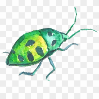 Volkswagen Beetle Watercolor Painting - Watercolor Beetle Transparent Png, Png Download