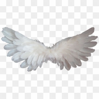 Angel Heaven Clip Art - Baby Angel Wings Png, Transparent Png