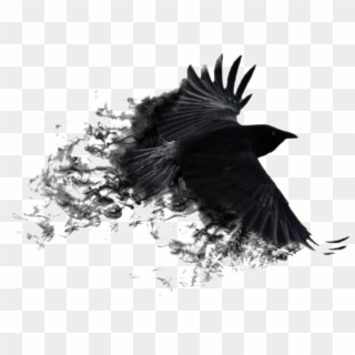 Transparent Crow Wings Png - Black And White Crow Background, Png Download