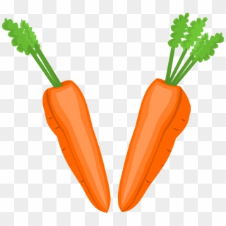 Clip Art Library Stock Carrot Clipart File - Halves Clipart, HD Png Download
