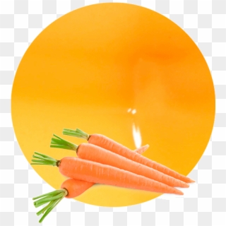 Com/wp Juice Nfc - Just Don T Carrot All, HD Png Download