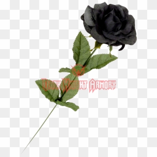 Single Black Flowers Rose, HD Png Download