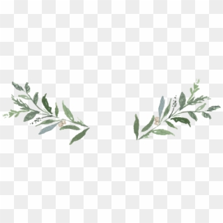 Greenery Png PNG Transparent For Free Download - PngFind
