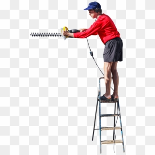 Free Png Download On A Ladder Cutting The Hedge Png - Cut Out People On Ladder, Transparent Png