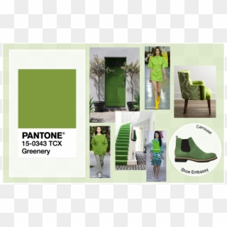 Shoe Embassy Greenery Pantone Colours Ss17 - Pantone, HD Png Download