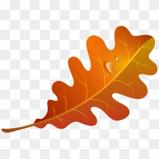 Fall Leaf Clip Art Free - Orange Fall Leaf Clip Art, HD Png Download