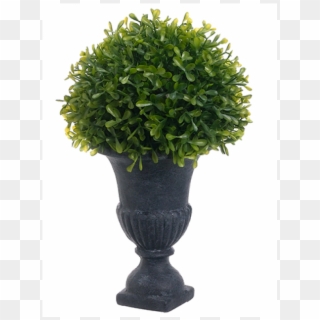 Topiary Png - Flowerpot, Transparent Png