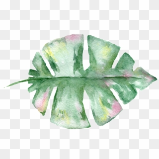 Hand Painted Leaf Material Free Download - Transparent Watercolor Leaves Png, Png Download
